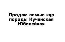 Продам семью кур породы Кучинская-Юбилейная